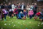 Na kolorowym zdjęciu dzieci podczas konkurencji zręcznościowej zbierania jajek do koszyczków porozkładanych na trawniku 