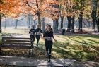 w jesiennej scenerii