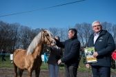 Przejdź do: Gratka dla miłośników i hodowców koni