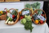 Przejdź do: O trudzie i potrzebie docenienia rolników