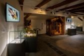 Przejdź do: Twoja opinia jest ważna! – Muzeum Archeologiczne w Krakowie bada potrzeby gości