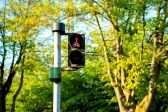 Przejdź do: 4 mln zł na inwestycje zwiększające bezpieczeństwo pieszych i kierowców