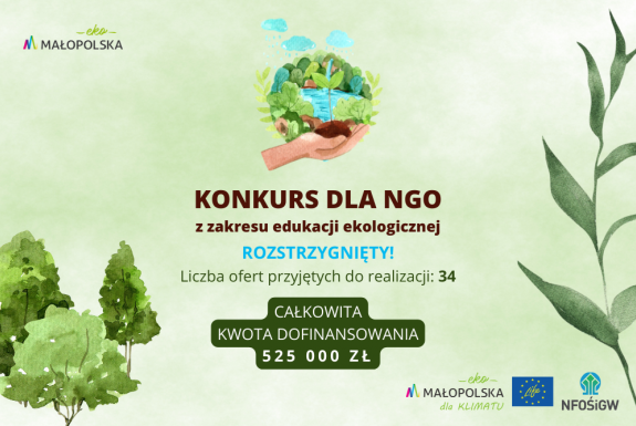 Eco jest cool, czyli NGO-sy dla środowiska!