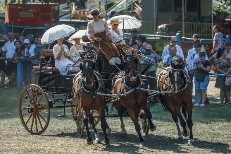 Ludzie siedzą na wozie w strojach historycznych.