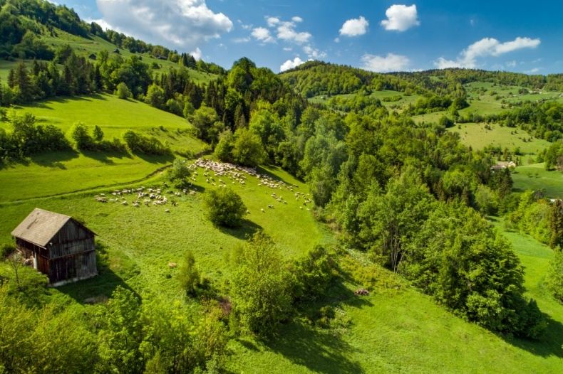 Zielone łąki i góry.
