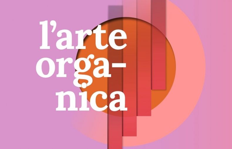 Festiwal organowy w Nowym Sączu