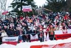 polscy kibice