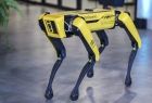 Żółty robot w kształcie psa.