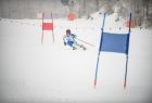 narciarz alpejski na trasie
