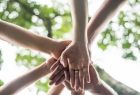 ułożone, jedna na drugiej, dłonie siedmiorga osób