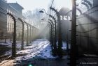 Obozowe słupy i historyczne obiekty na terenie Miejsca Pamięci Auschwitz 
