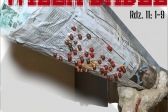 Przejdź do: Szymbark. „Wieża Babel” – wystawa Jana Mitasia Kubickiego