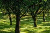 Kulturalna Małopolska na początek tygodnia