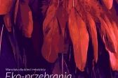 Zakopane. Warsztaty dla dzieci i młodzieży Eko-przebrania. Stroje inspirowane naturą