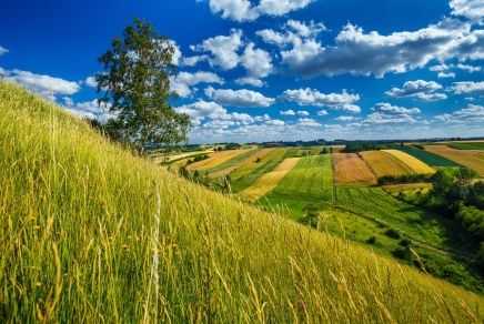 Przejdź do: Pełnia lata w Małopolsce – sezon na przygodę, relaks i niezapomniane wspomnienia!