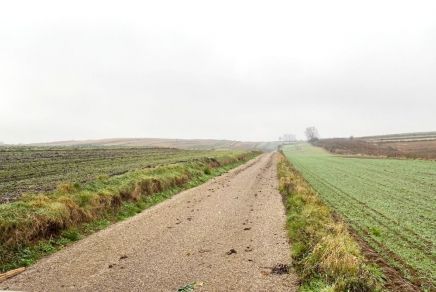 Przejdź do: 34 mln zł dla gmin na zadania z zakresu ochrony gruntów rolnych