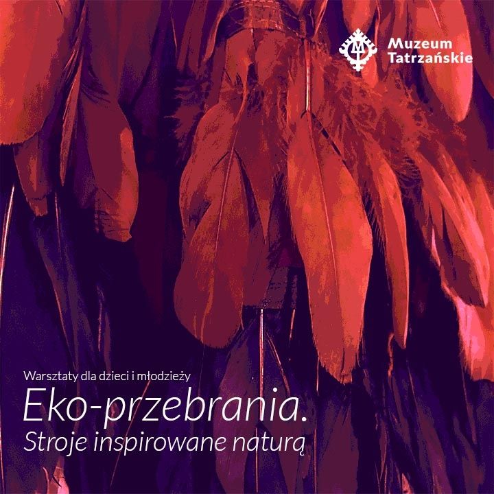 Na tle piór napis Eko-przebrania. Stroje inspirowane naturą