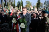 Przejdź do: Zaduszki Witosowe w Wierzchosławicach