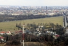 fot. RaNo, źródło: http://pl.wikipedia.org/wiki/B%C5%82onia_krakowskie