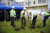 Przejdź do: Rusza modernizacja szpitala w Tarnowie