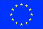 Przejdź do: Głos samorządów w UE
