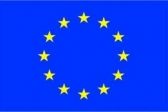 Przejdź do: Głos samorządów w UE