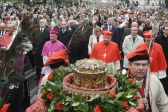Przejdź do: Uroczystości ku czci świętego Stanisława