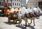 Wyruszyli szlakiem pamięci