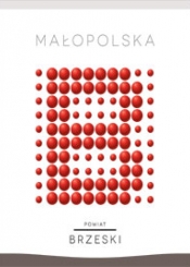 Małopolska. Powiat brzeski.