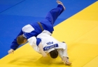 judo, zawody mężczyzn na macie