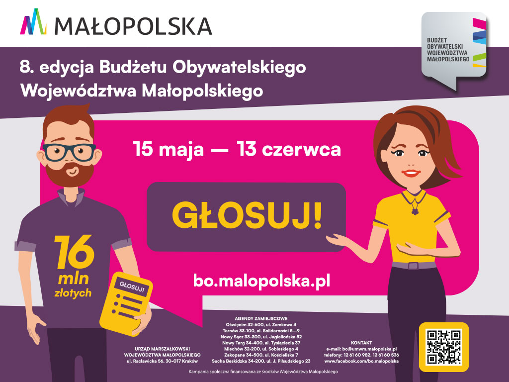 głosuj