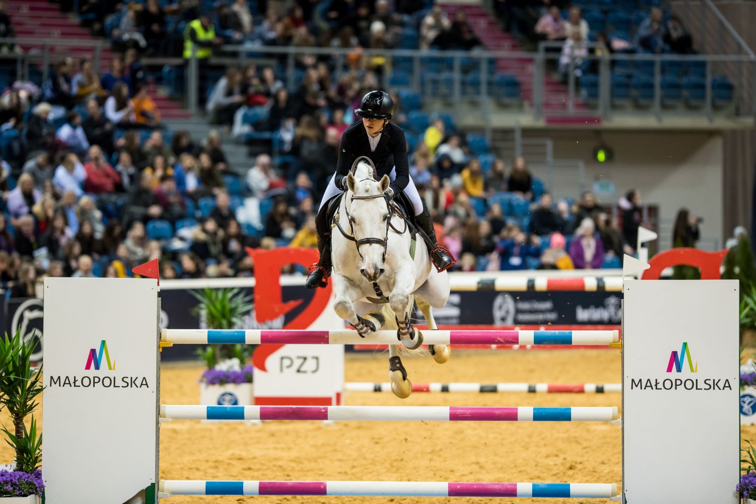 Cavaliada Tour w Tauron Arena Kraków