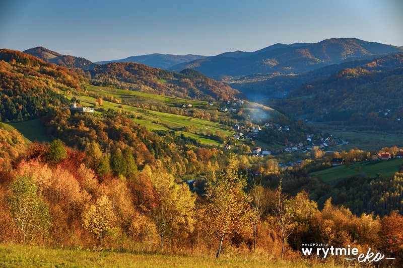 Widok na góry