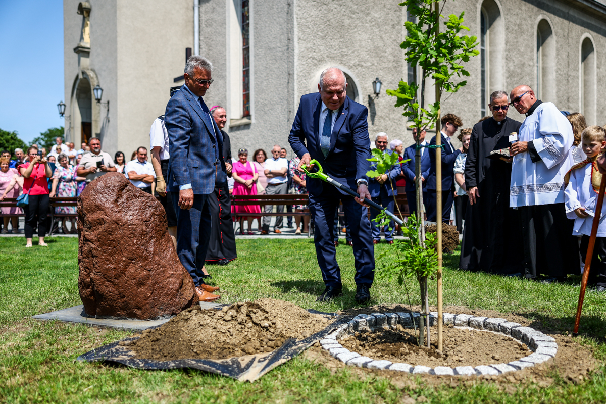 Wicemarszałek Ryszard Pagacz sadzi drzewko.