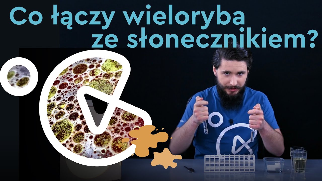 Tłuszcze. Film edukacyjny Cogiteonu