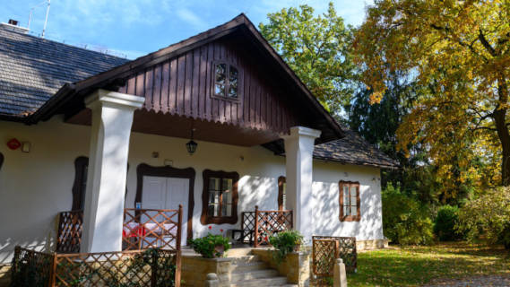Dwór w Dołędze