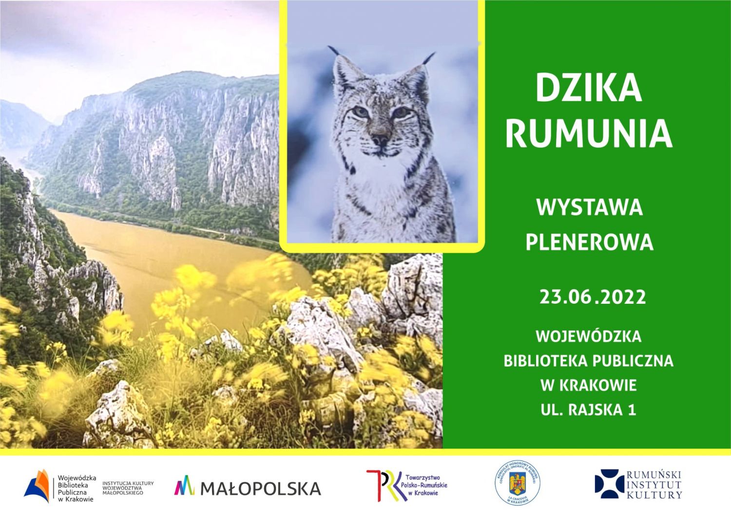 Dzika Rumunia - plakat