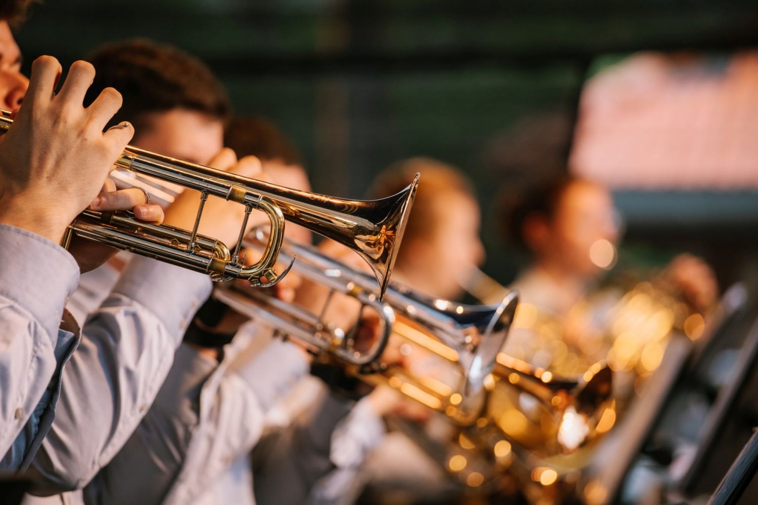 Zdjęcie promujące koncert pod hasłem: My, Małopolanie.