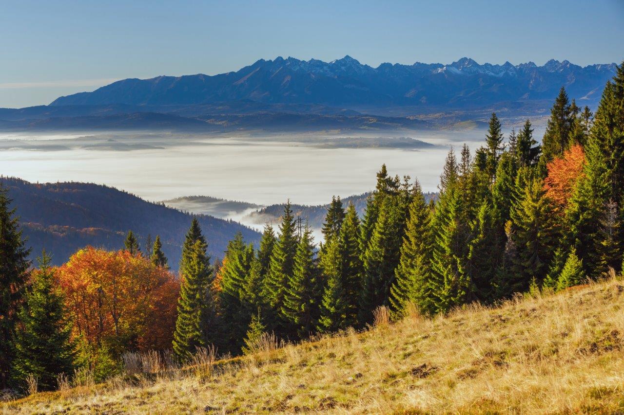 Panorama na zamglone góry