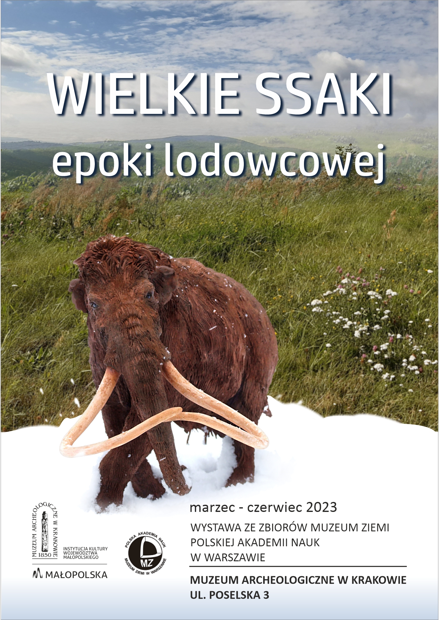 Wielkie ssaki epoki lodowcowej - wystawa