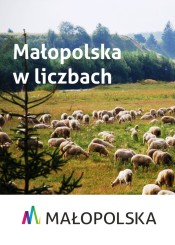 Grafika z danymi liczbowymi o Małopolsce.