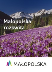 Grafika dotycząca małopolskiej przyrody.