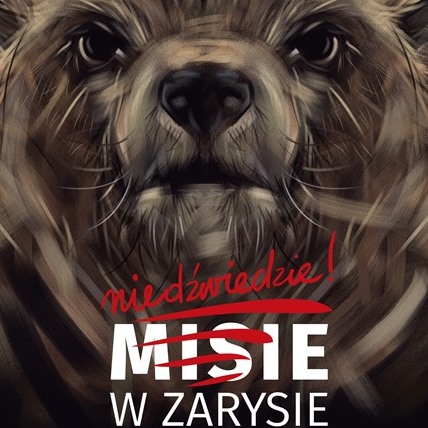 Misie w zarysie