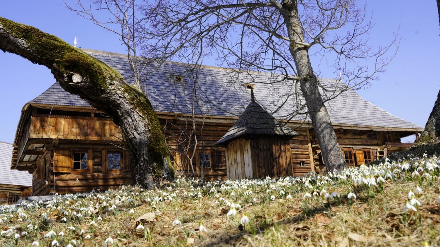 Skansen w Zubrzycy Górnej