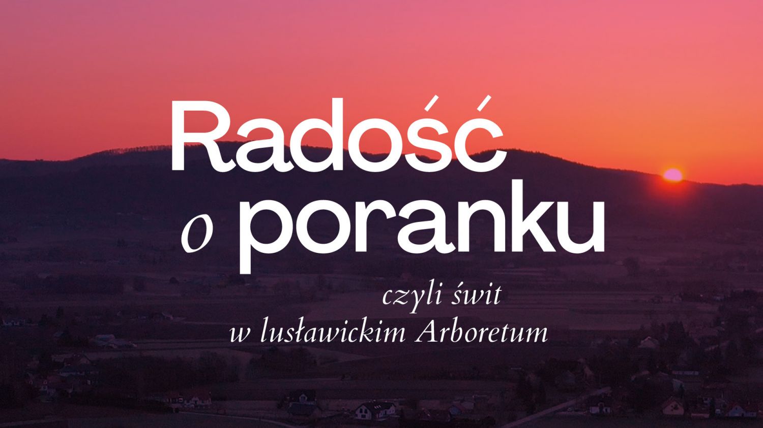 Radość o poranku