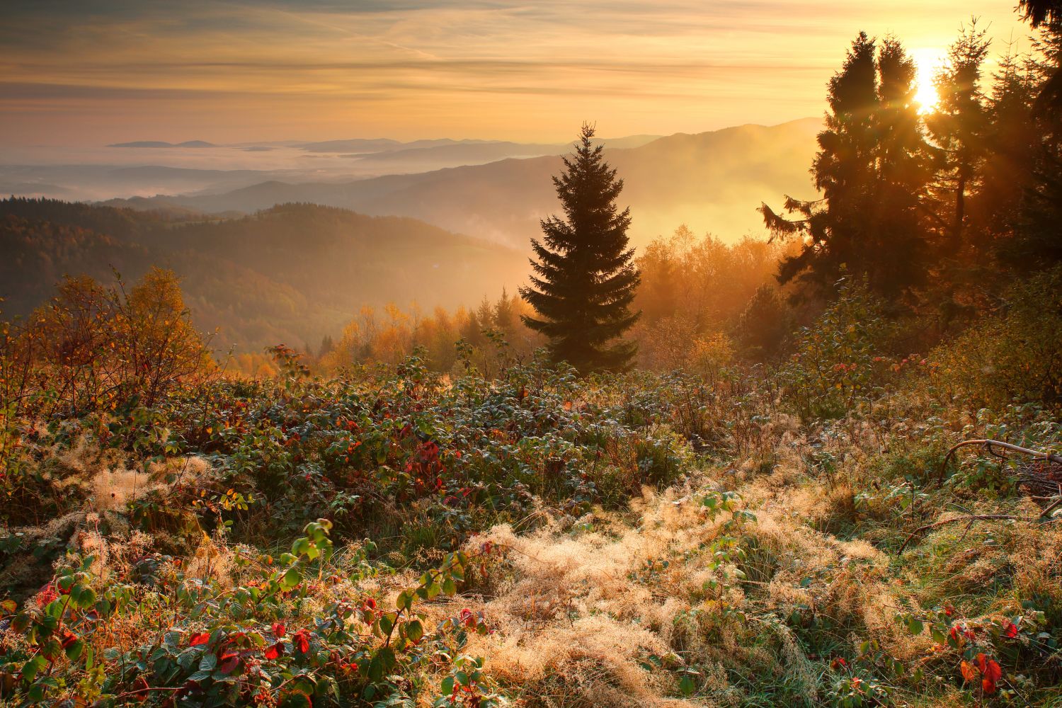 Beskid sądecki