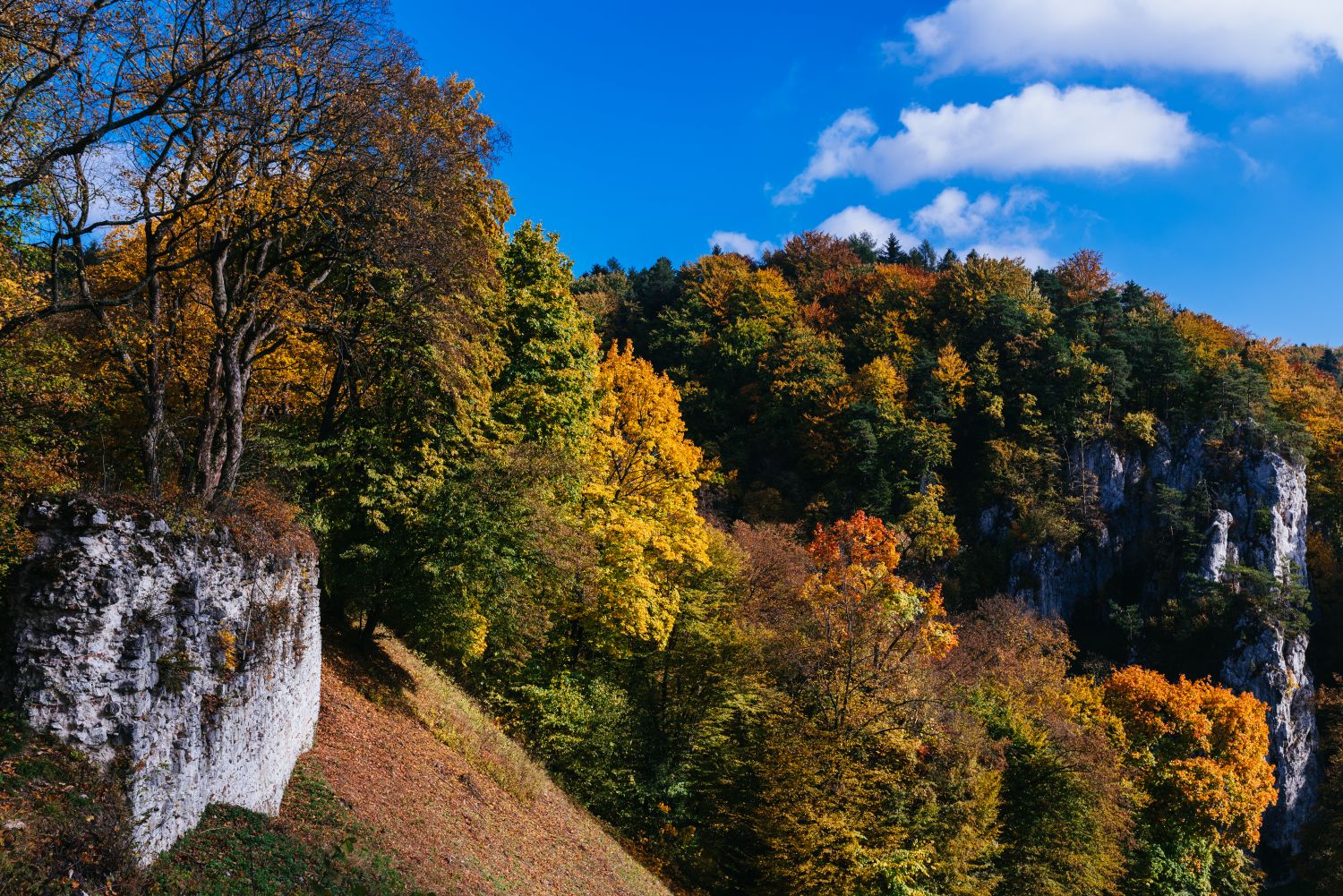 Ojców