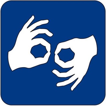 Wideotlumacz