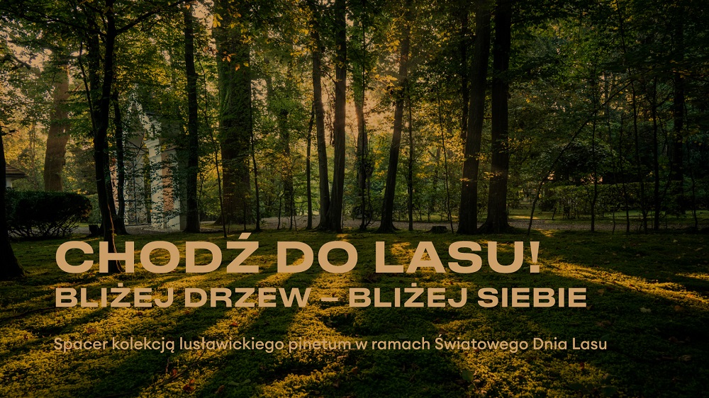Chodź do lasu - grafika