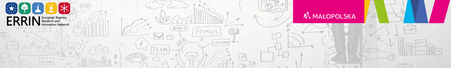 Baner_seminarium_ERRIN